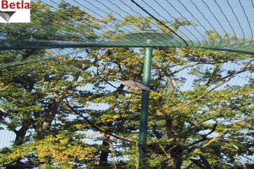 Siatki Grajewo - Siatka zabezpieczająca do ochrony - siatka na woliery do hodowli ptaków dla terenów Grajewa